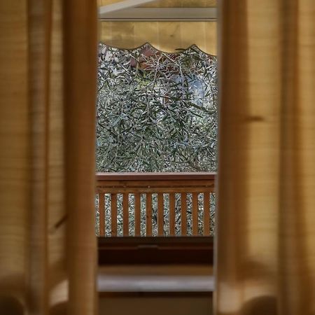 Ulivo Suites - Apartments 博尔扎诺 外观 照片